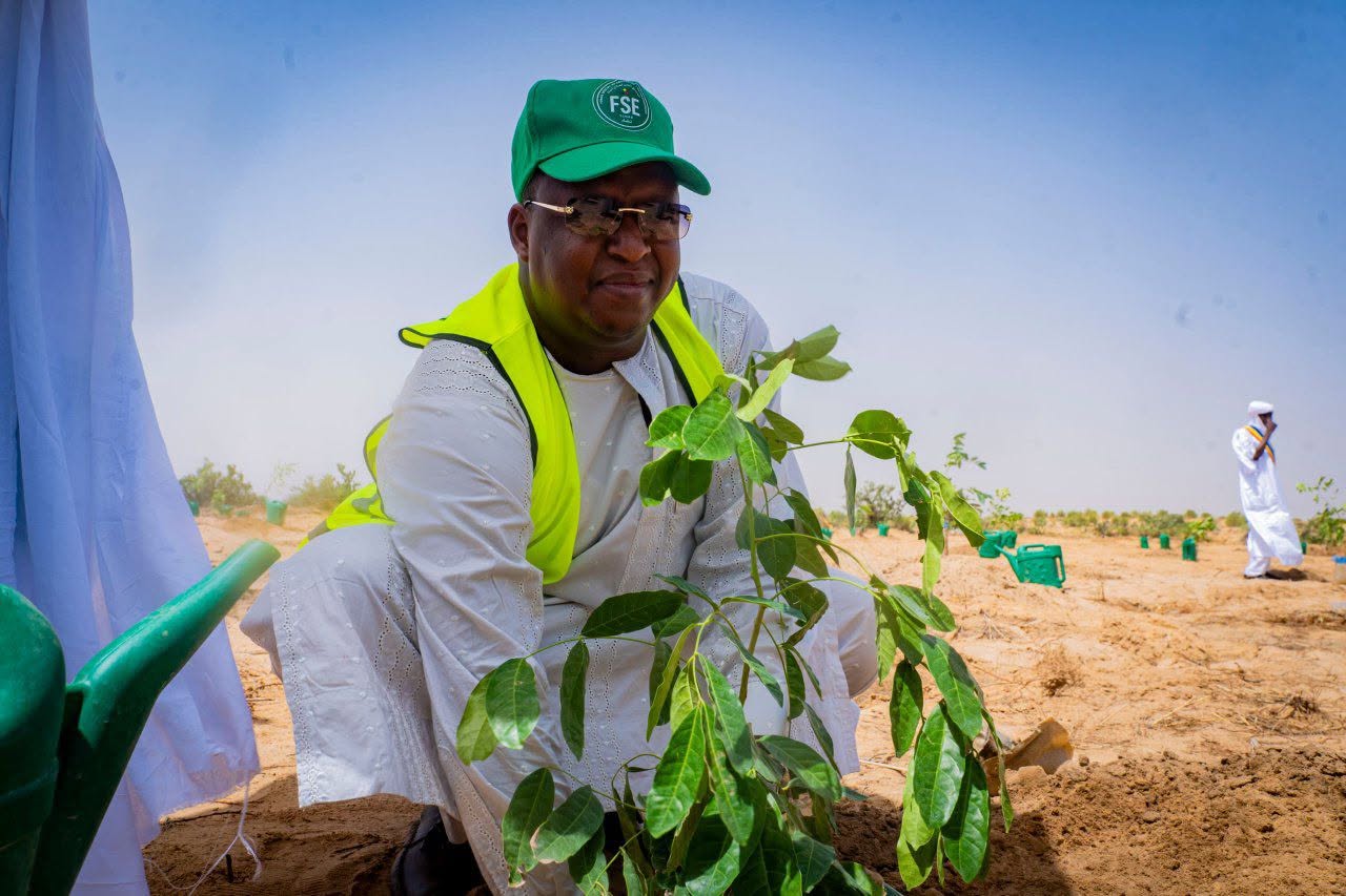 Plantation d’un jeune arbre lors du lancement de la Semaine nationale de l’arbre 2026, à Arada